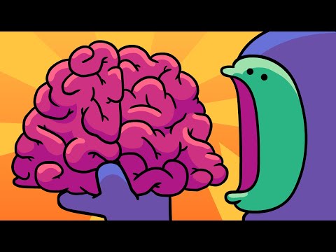 Brain Myths thumbnail