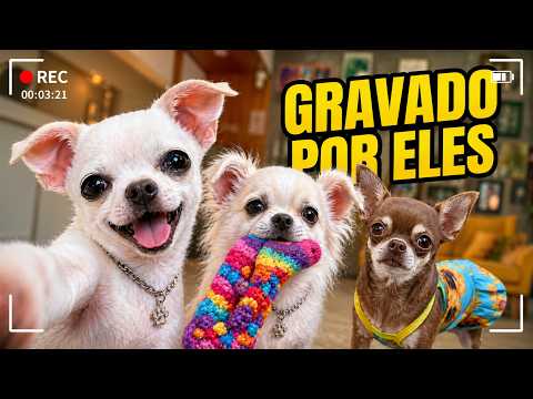 12 HORAS DE ROTINA PELA VISÃO DOS NOSSOS CACHORROS! thumbnail