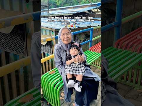 NIAT BAWAK JALAN-JALAN BABY BAKSO EHH MALAH PUP..‼️?? thumbnail