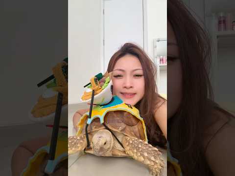 Jalan pagi sama jamal 🐢☀️#bosen #jamal #unboxing thumbnail