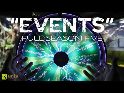 "Events" Full Season Five Compilation - The AntsCanada Ecosystem Vivarium Series thumbnail