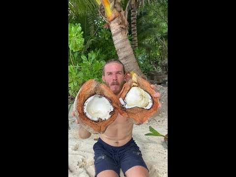 The Ultimate Survival Food thumbnail