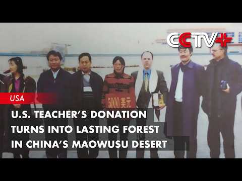 U.S. Teacher’s Donation Turns into Lasting Forest in China’s Maowusu Desert thumbnail