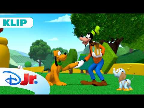 🐶🤖  RoboPies | Klub Przyjaciół Myszki Miki+| Disney Junior Polska thumbnail