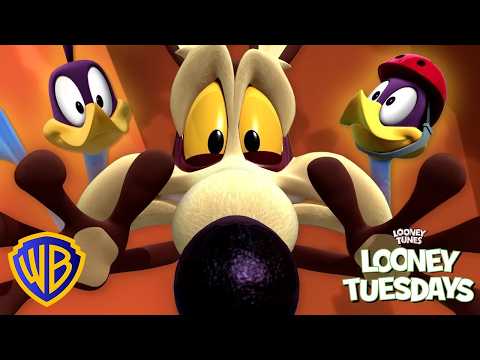 Wile E. Coyote contra el Correcaminos: ¿¡quién GANARÁ!? | Looney Tunes en Latino @WBKidsLatino thumbnail