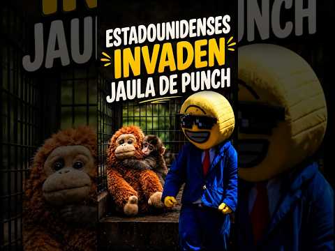 Punch volvió locos a unos turistas y todo quedó grabado thumbnail