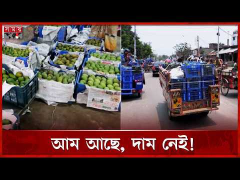নওগাঁয় আমের সরবরাহ বেড়েছে, মিলছে না কাঙ্ক্ষিত দাম | Mango Business | Naogaon | Somoy TV thumbnail