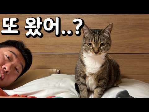 여기가 어디라고 와? thumbnail