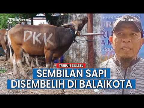 KORPRI Makassar Salurkan Daging Kurban untuk Cleaning Service hingga Satpol PP thumbnail