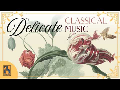 Delicate Classical Music thumbnail