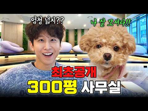 토리 돈으로 몰래 구했습니다.. 방이 42개인 300평 사무실 최초공개 (+새가족 소개)  thumbnail