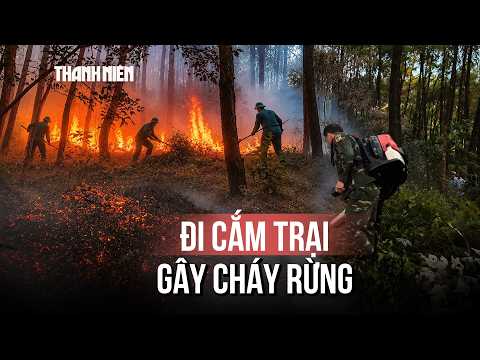 Tìm nhóm người cắm trại gây ra vụ cháy rừng ở núi Tam Thai thumbnail