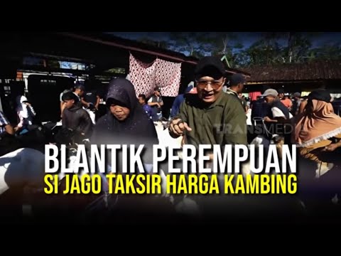 Blantik Perempuan Si Jago Taksir Harga Kambing | SECRET STORY (25/05/26) thumbnail