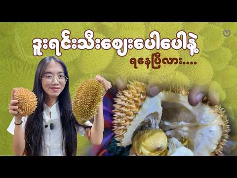 မုန့်လုပ်စားဖို့ သွားဝယ်ပေမယ့်လဲ.... thumbnail