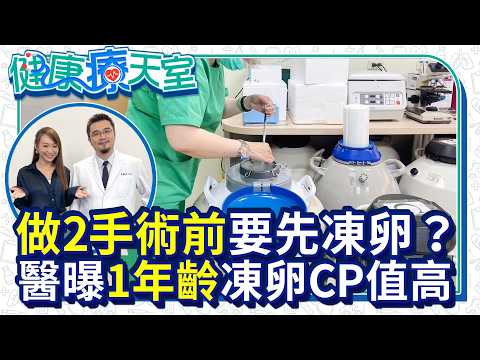 幾歲凍卵CP值最高？醫師揭最佳年齡黃金期 凍卵流程一次看懂！ 【健康療天室】EP28 feat.新光醫院不孕症中心 李毅評主任  @ChinaTimes thumbnail