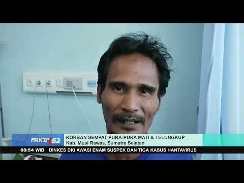 Lagi Nyawit, Petani Diterkam Beruang Madu thumbnail