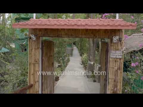 Sunderban Tiger Camp: An eco-friendly wildlife resort in the Sundarbans thumbnail