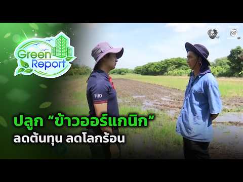 ปลูก ข้าวออร์แกนิก ลดต้นทุน ลดโลกร้อน | Green Report thumbnail