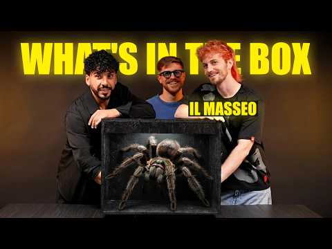 INDOVINA L’OGGETTO ASSURDO DENTRO ALLA SCATOLA con IL MASSEO - QUESTO VIDEO È DAVVERO TRAUMATICO!  thumbnail