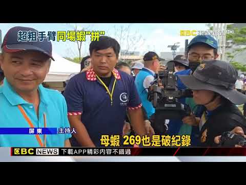 潮州賽神蝦冠軍公蝦402克破紀錄 如小龍蝦@newsebc thumbnail