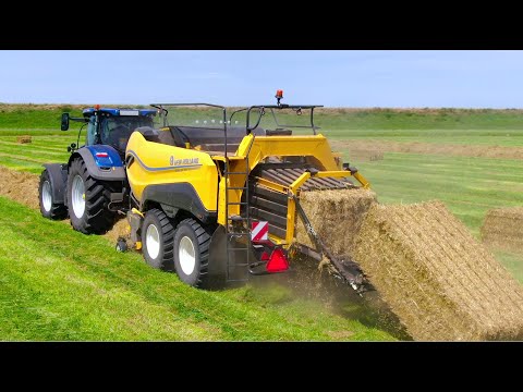 Baling Grass Seed Hay and Straw | New Holland T7.315 + BigBaler 1290 High Density thumbnail
