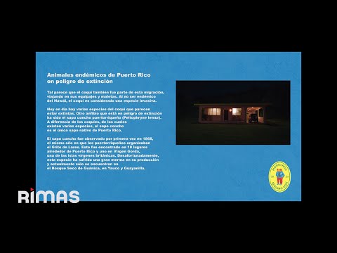 BAD BUNNY - LO QUE LE PASÓ A HAWAii (Visualizer) | DeBÍ TiRAR MáS FOToS thumbnail