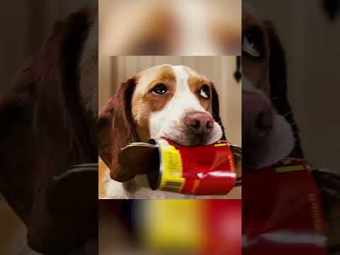 🐶⚡ كلب عادي يكتسب قوى خارقة ويدمر كل شيء بالخطأ 😱🔥 thumbnail