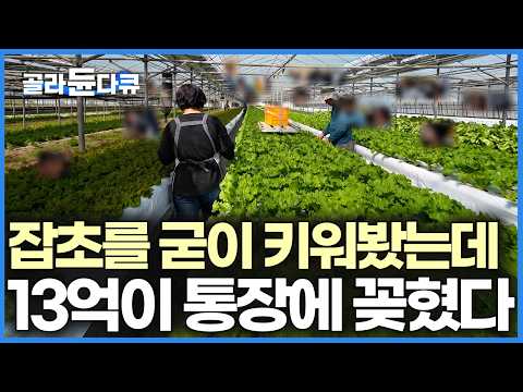 남들 안 하는 거 계속했더니 인생이 바뀌었다, 담양에서 손꼽히는 맛집이 된 이유｜한국기행｜#골라듄다큐 thumbnail