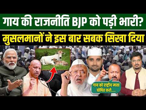 गाय पर राजनीति महंगी पड़ी इस बार BJP को, मुसलमानों ने सबक सिखा दिया | Millat Times thumbnail