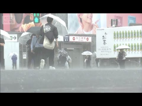 【台風6号】山手線などで遅延が発生　大雨で多くの路線に影響(2026年6月3日) thumbnail