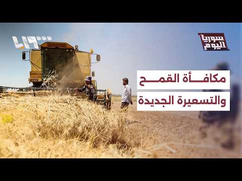 هل تغطي مكافأة القمح والتسعيرة الجديدة تكاليف الإنتاج؟ | سوريا اليوم thumbnail