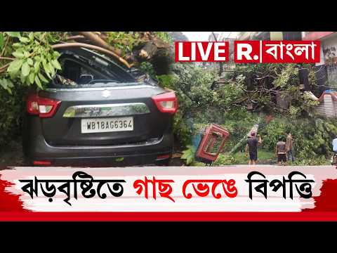 Rain News LIVE | ঝড়বৃষ্টিতে সল্টলেকে গাছ পড়ে বিপত্তি। বিশাল গাছ পড়ে দুমড়ে মুচড়ে যায় গাড়ি thumbnail