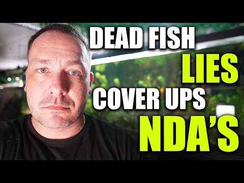 Exposing the worst of the aquarium industry: EP 1 - Hygger thumbnail