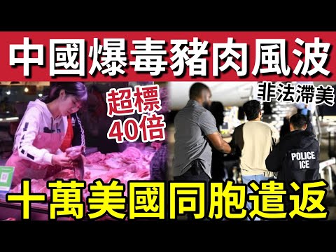 毒豬肉來襲！國內龍頭「豬肉企業」被揭發「用藥超標40倍！」10萬非法入境美國「中國人」面臨被遣返！內地酒店「衛生極差」國內媒體「越爆越多！」27/5內地猛料「看中國新聞快訊」 thumbnail