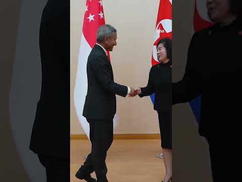 Singapore Foreign Affairs Minister Vivian Balakrishnan makes rare visit to North Korea thumbnail