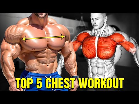 The Best Chest Workout Guide To Build A Massive Pec thumbnail