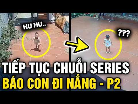 Trưa nắng LẺN ĐI CHƠI, hàng loạt khối nghỉ hè bị KHẮC CHẾ CỨNG dưới cái nắng 40 độ | Tin 3 Phút thumbnail