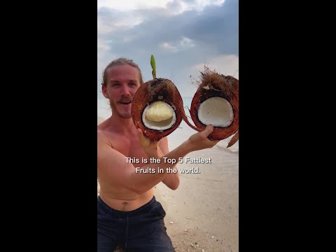 The Fattiest Fruit On the Planet thumbnail