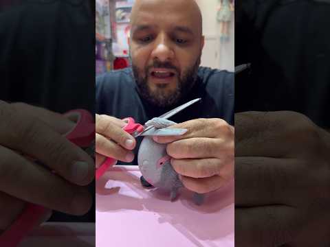 القطه النيدو ب 20 thumbnail