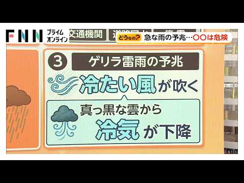 ゲリラ雷雨ことしは5月から要警戒　予兆は「真っ暗な雲」と「冷たい風」　傘は危険な場合も（2026年05月16日） thumbnail
