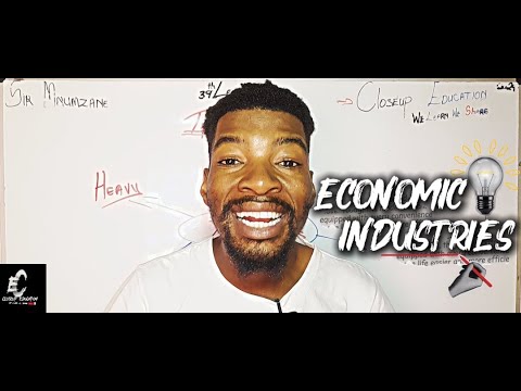 Heavy vs Light Industries | Economic Geography Grade 12 Made Simple thumbnail