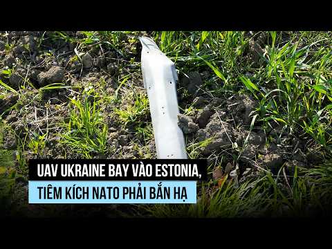 UAV Ukraine bay vào Estonia, tiêm kích NATO phải bắn hạ thumbnail