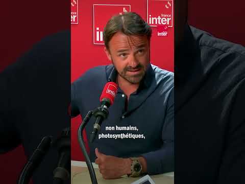 L'interdépendance de la vie verte et de la vie rouge thumbnail
