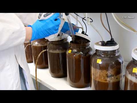 What Is 'Pee-cycling?' thumbnail