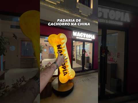 PADARIA PRA CACHORRO EM SHANGAI thumbnail