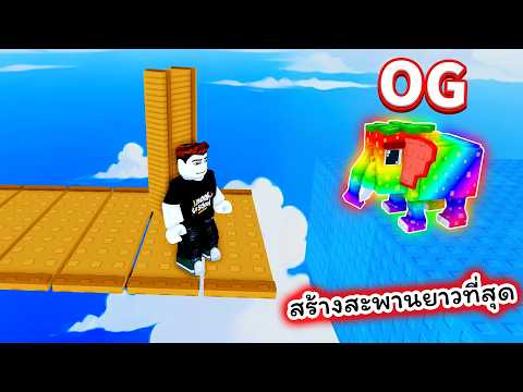 ตัดไม้มาสร้างสะพานยาวที่สุด ไปจับตัวหายากที่สุด Roblox Build Bridge to Brainrots thumbnail