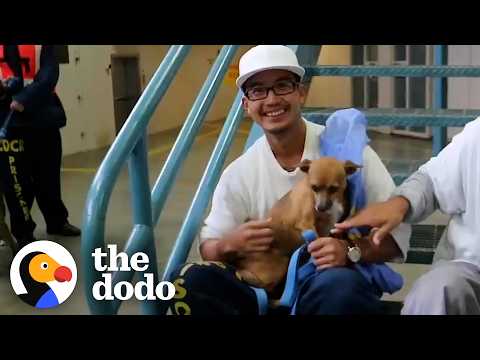 Man Sentenced To Life Finds Purpose Training Shelter Dogs | The Dodo thumbnail