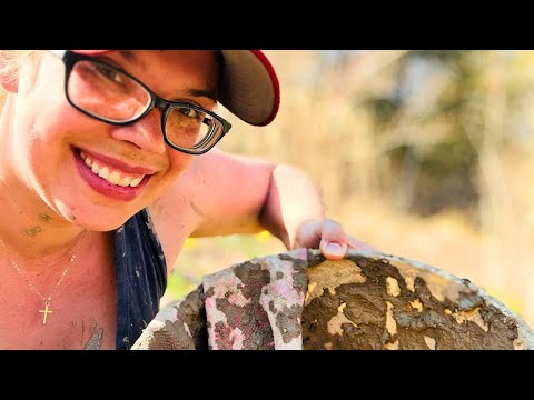I Stopped Spraying My Trees… I Use This Old Orchard Trick Instead thumbnail