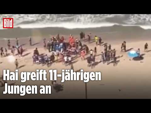 BRASILIEN: Zwei Hai-Angriffe in nur 48 Stunden thumbnail