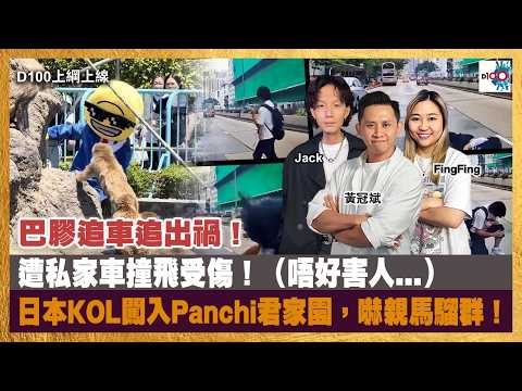 美籍KOL闖入日本動物園「猴山」嚇壞馬騮群！｜D100上綱上線｜黃冠斌、Jack、Fingfing thumbnail